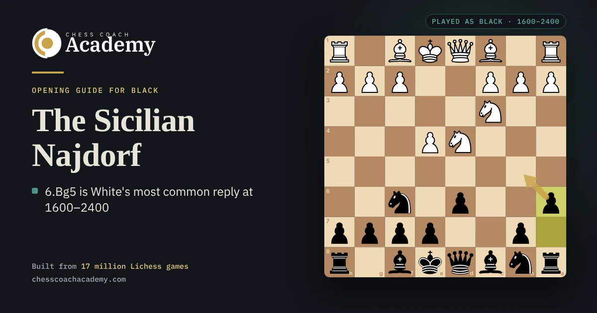 Sicilian Najdorf cover: the board from Black's side after 1.e4 c5 2.Nf3 d6 3.d4 cxd4 4.Nxd4 Nf6 5.Nc3 a6, with a gold arrow showing the a6 pawn's control of the b5 square